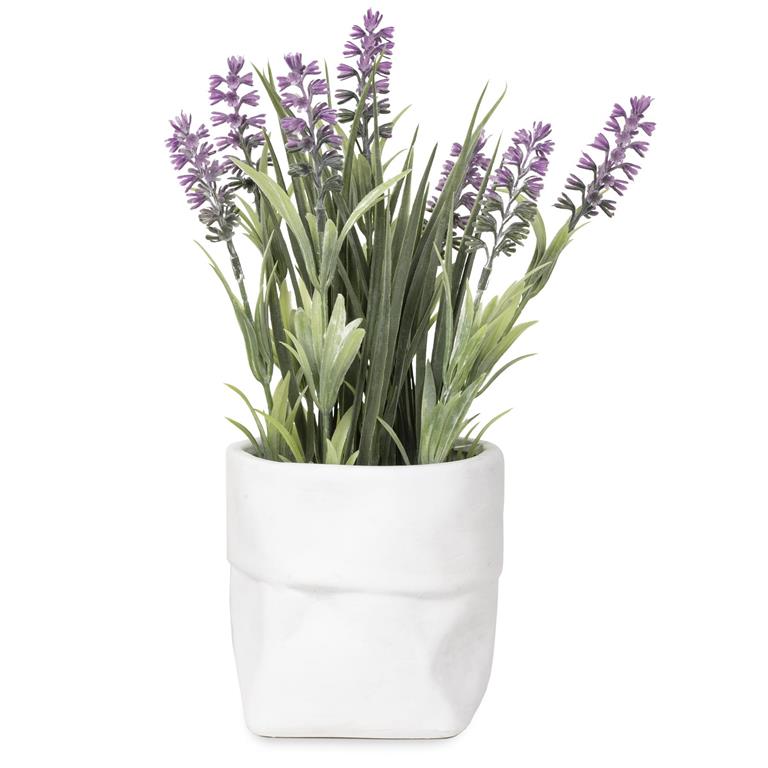 Tall Purple Flowers in White Pot 241-70380