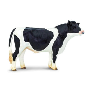Holstein Bull 246929