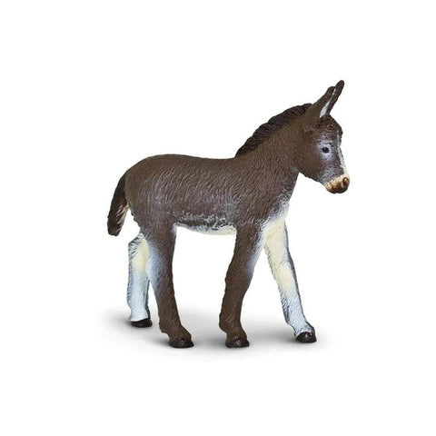 Donkey Foal 249929