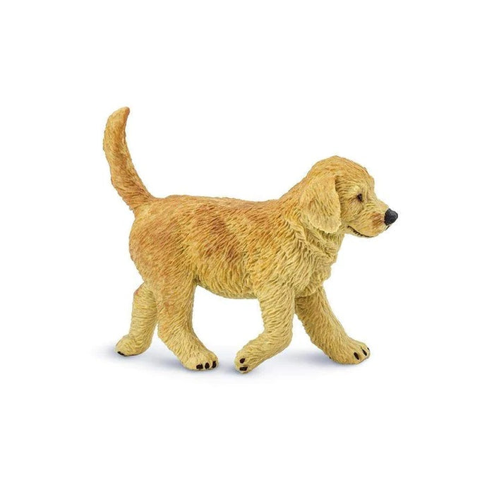 Golden Retriever Puppy 253229