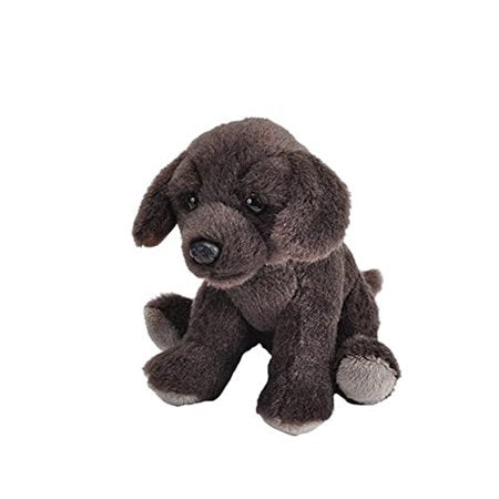 Pocketkins Chocolate Lab 25533