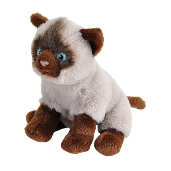 Pocketkins Siamese Cat 25540