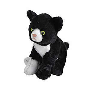 Black Cat Plush Pillow with Luminous Eyes only $3.99