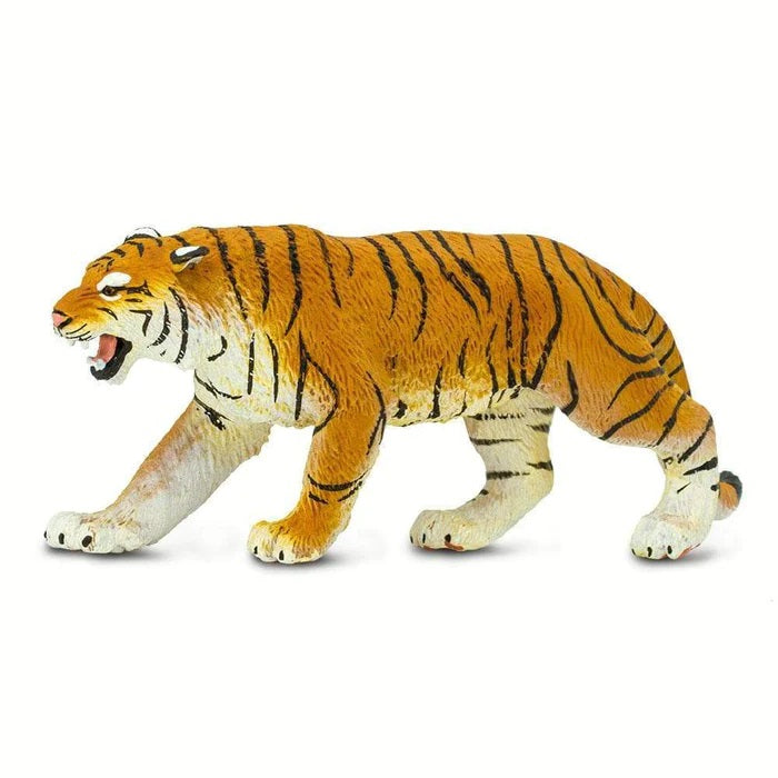 Bengal Tiger 270829