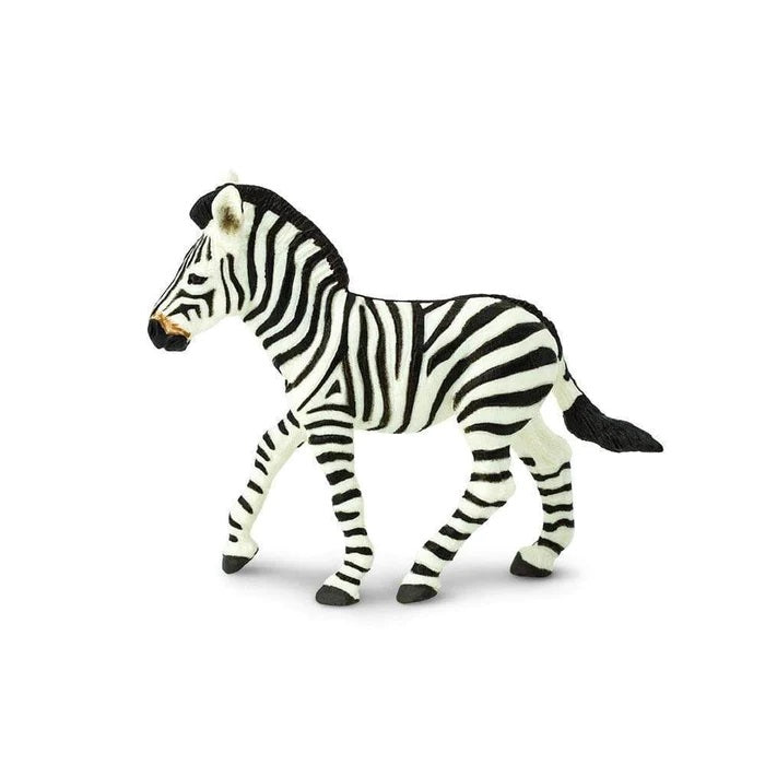 Zebra Foal 271829