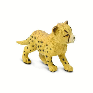 Cheetah Cub 272029