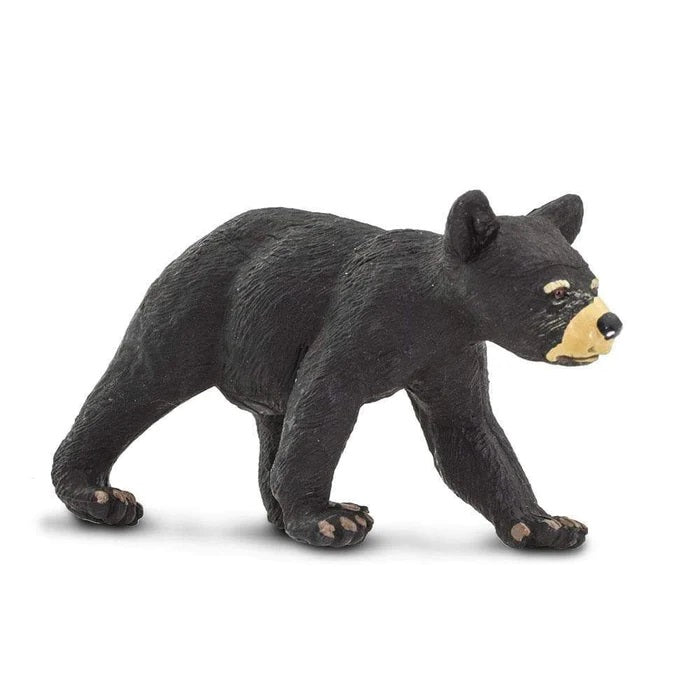 Black Bear Cub 273629