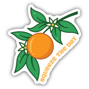 Squeeze the Day Orange Sticker 2741-LSTK