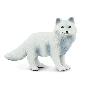 Arctic Fox 282329