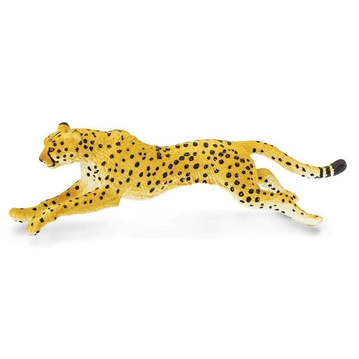 Cheetah 290429