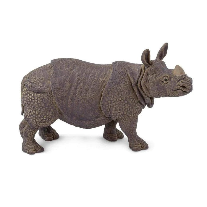 Indian Rhino 297329