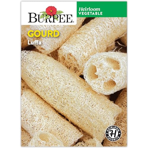 Burpee Heirloom Gourd Luffa Seed Pack 30289 – Good's Store Online
