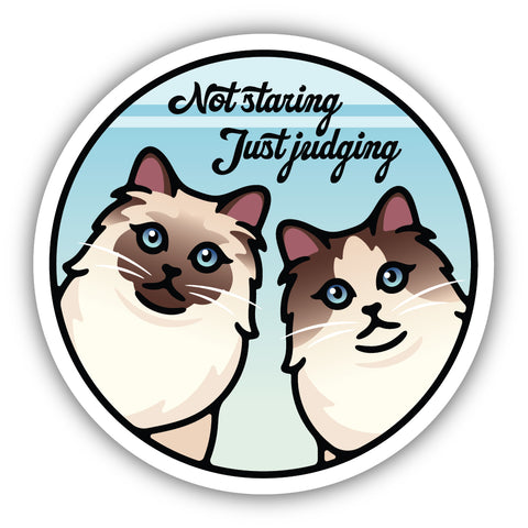 Not Staring Just Judging Sticker 3058-LSTK