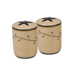 Star Vine salt & pepper shakers set