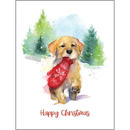 Mitten Puppy Christmas Boxed Cards 315-5641