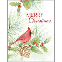 Cardinal Bough Christmas Boxed Cards 315-5646