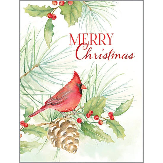 Cardinal Bough Christmas Boxed Cards 315-5646