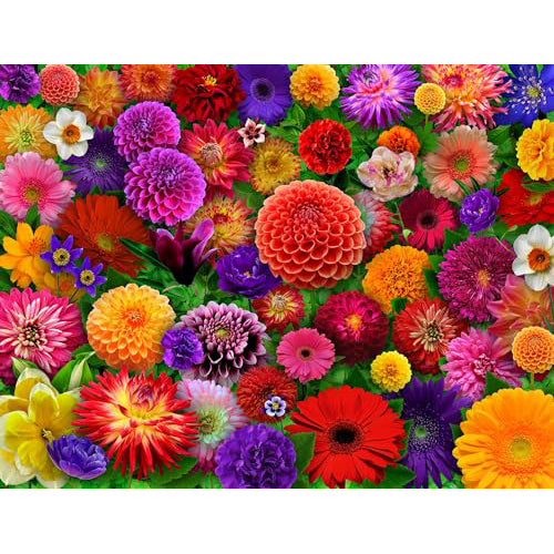 Blooming Every Day 500-Piece Puzzle 33-01686