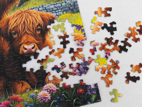 Highland Cows in the Countryside -  500 Piece Jigsaw Puzzle 33-02560