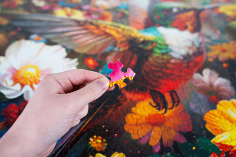 Springbok - Hummingbird Dream 1000 Piece Jigsaw Puzzle 33-11276