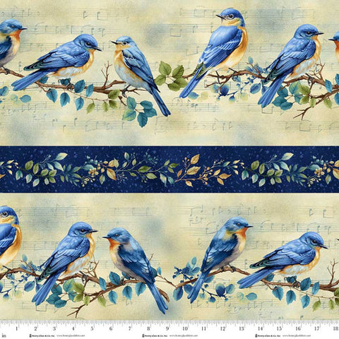 Awakenings Collection Border Stripe Cotton Fabric 3534