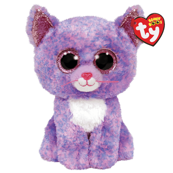 cassidy the purple cat