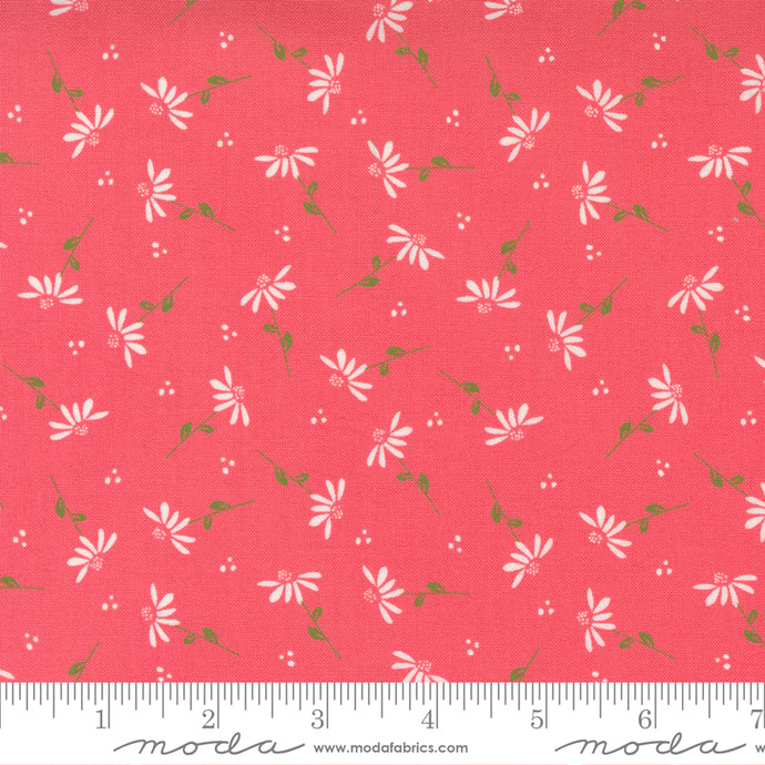 Sincerely Yours Cotton Fabric Collection 37612