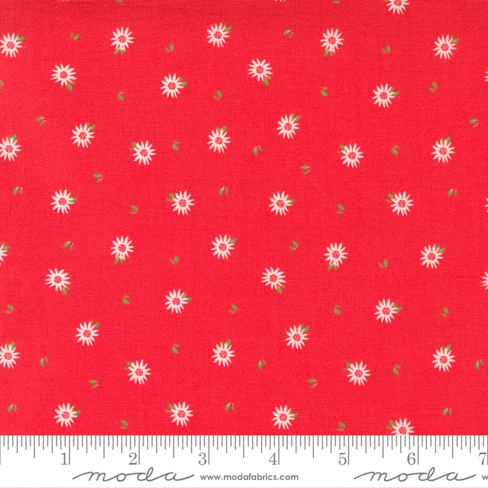 Sincerely Yours Cotton Fabric Collection 37614