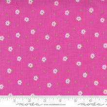 Sincerely Yours Cotton Fabric Collection 37614