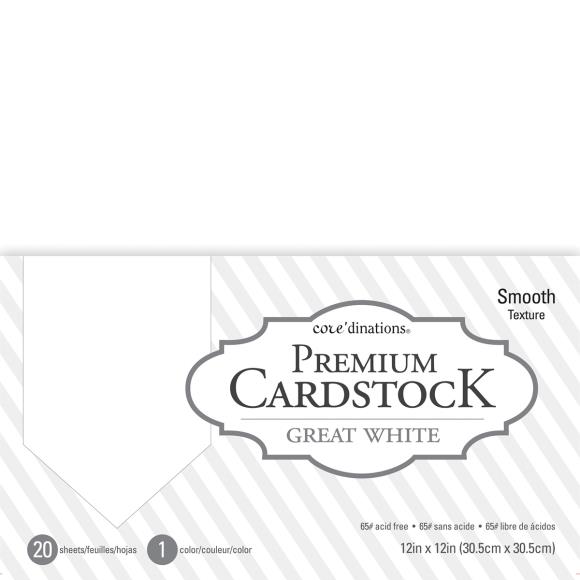 Great White Premium Cardstock 377691