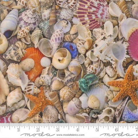 Saltwater Collection Seashell Cotton Fabric 39570