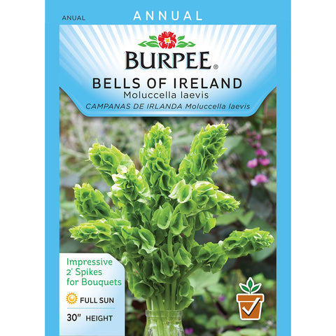 Bells of Ireland-Moluccella Laevis Bells of Ireland Seed Pack 41352