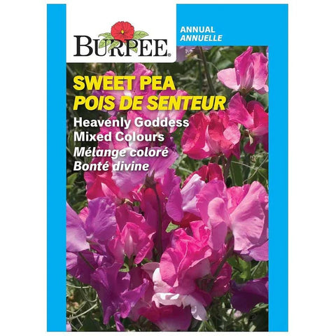 Sweet Pea Heavenly Goddess Mix Flower Seed Pack 42111