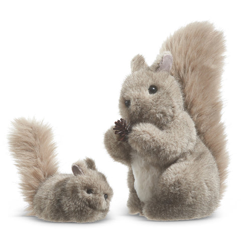 Gray Squirrels 4303464