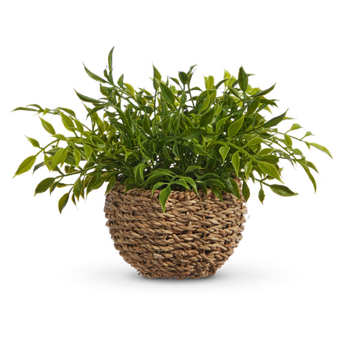 Soft Touch Potted House Plant 4402204