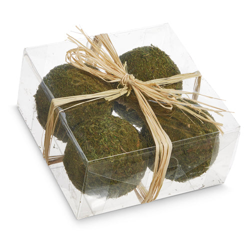 Set of 4 Decorative Moss Balls in Clear Box Tied with Natural Raffia