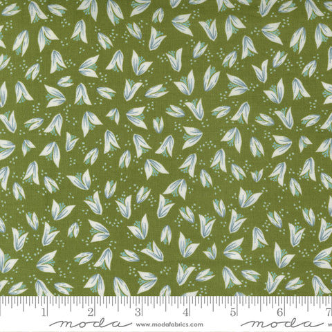 Songbook Collection Cotton Fabric 45525