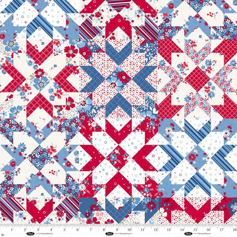 Front Porch Charm Collection Cheater Style Cotton Fabric 4701