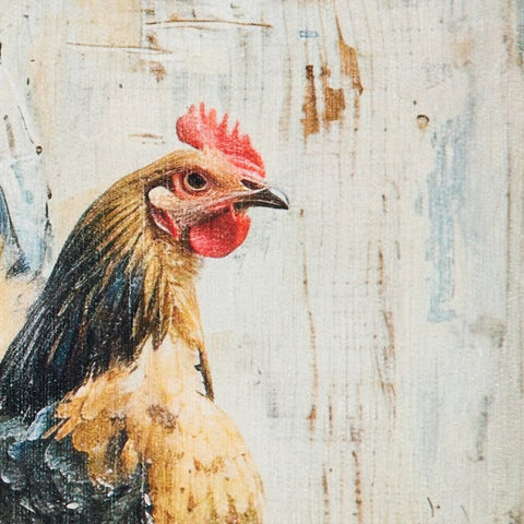 Four Chickens in a Row Washable Rug 4889-280 closer view of rug material 