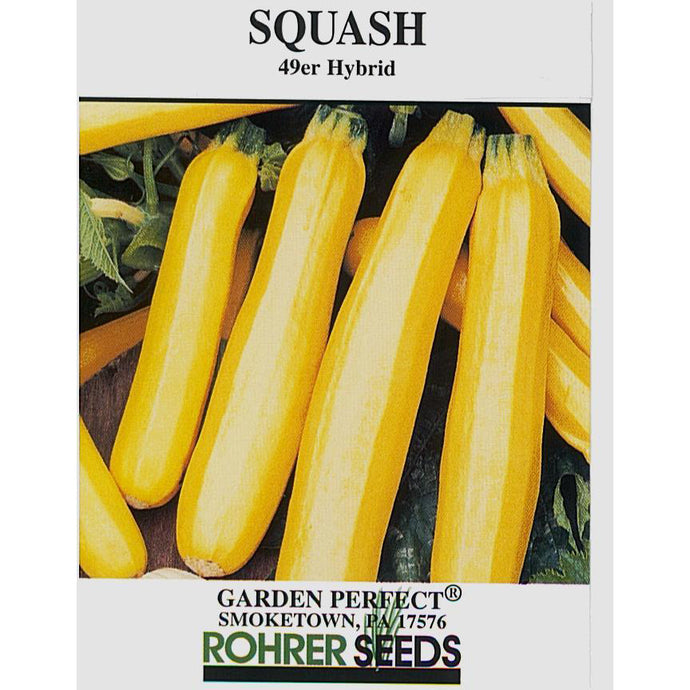 49er hybrid squash seed