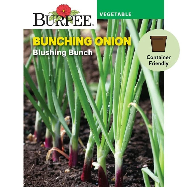 Bunching Onion Blushing Bunch Seed Pack 50230