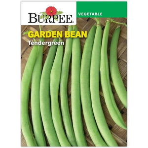 Garden Bean Tendergreen Seed Pack 50859