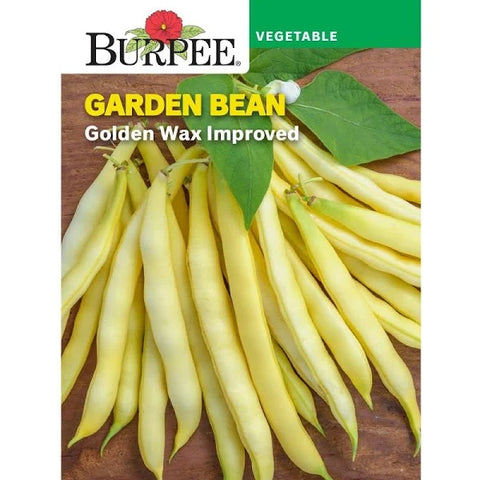 Golden Wax Improved Bean Value Seed Pack 52298