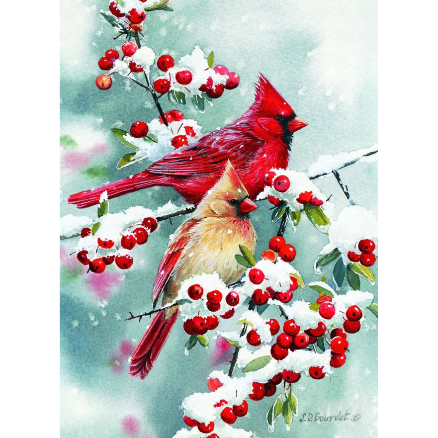 Winter Cardinals Christmas Boxed Cards 52417