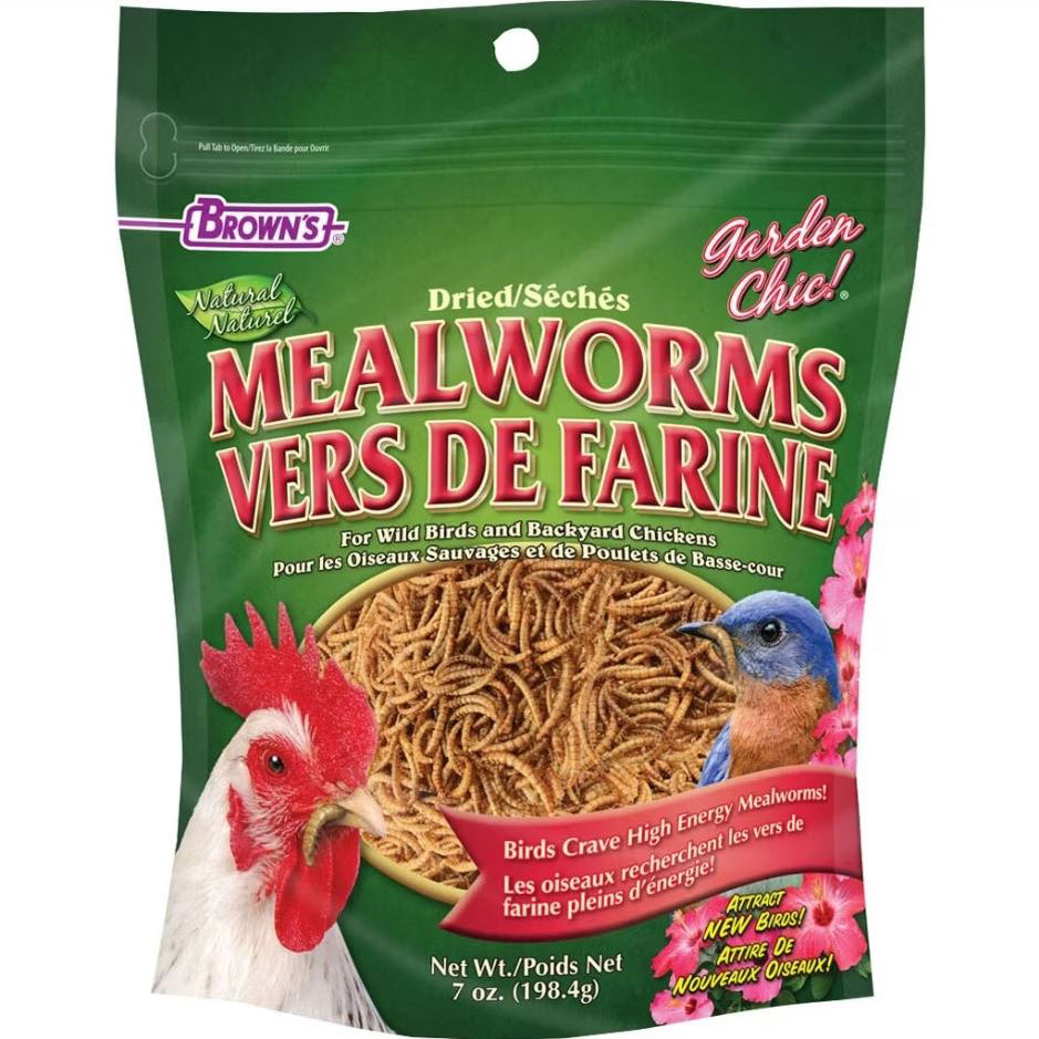 Brown's Garden Chic Mealworms 5332 Good's Store Online