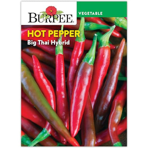Big Thai Hybrid Hot Pepper Seed Pack 54174
