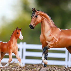 Spanish Mustang mare and foal