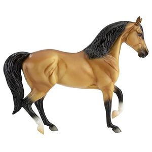Spanish Mustang mare