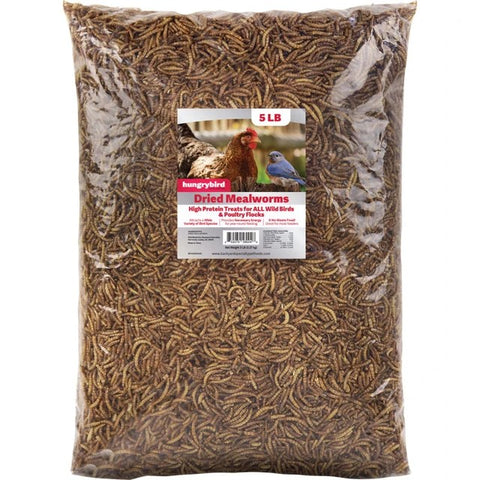Hungrybird dried mealworms in bag, 5 lbs size