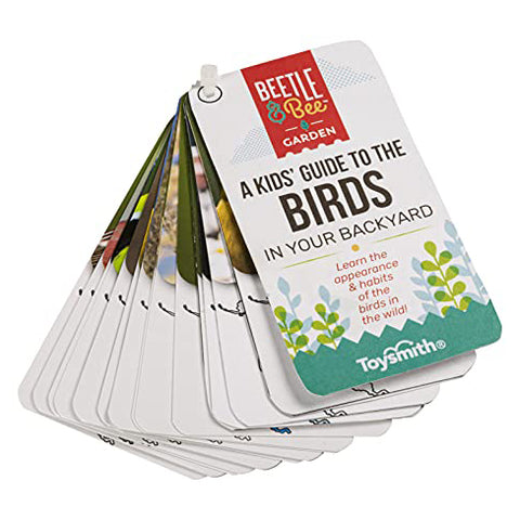 A Kids' Guide to the Birds in Your Backyard